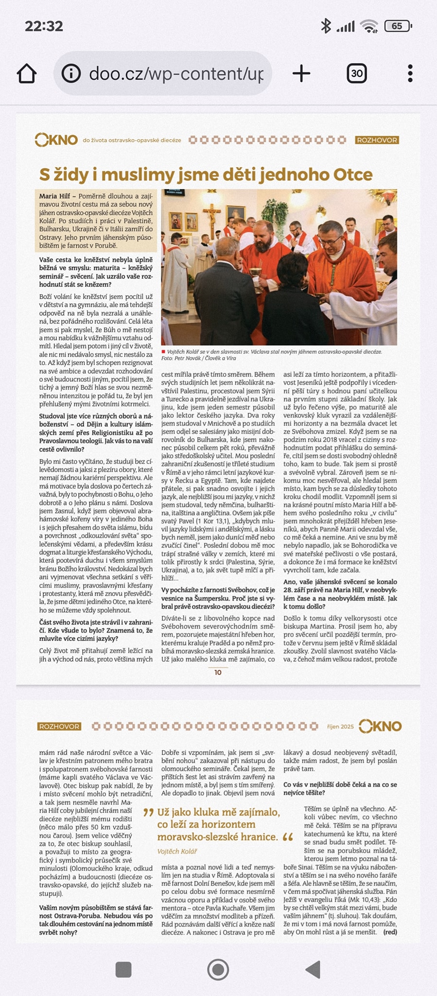article preview