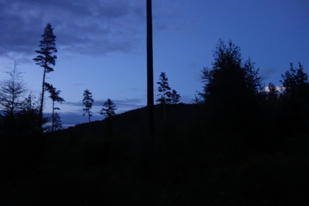 DSC05024