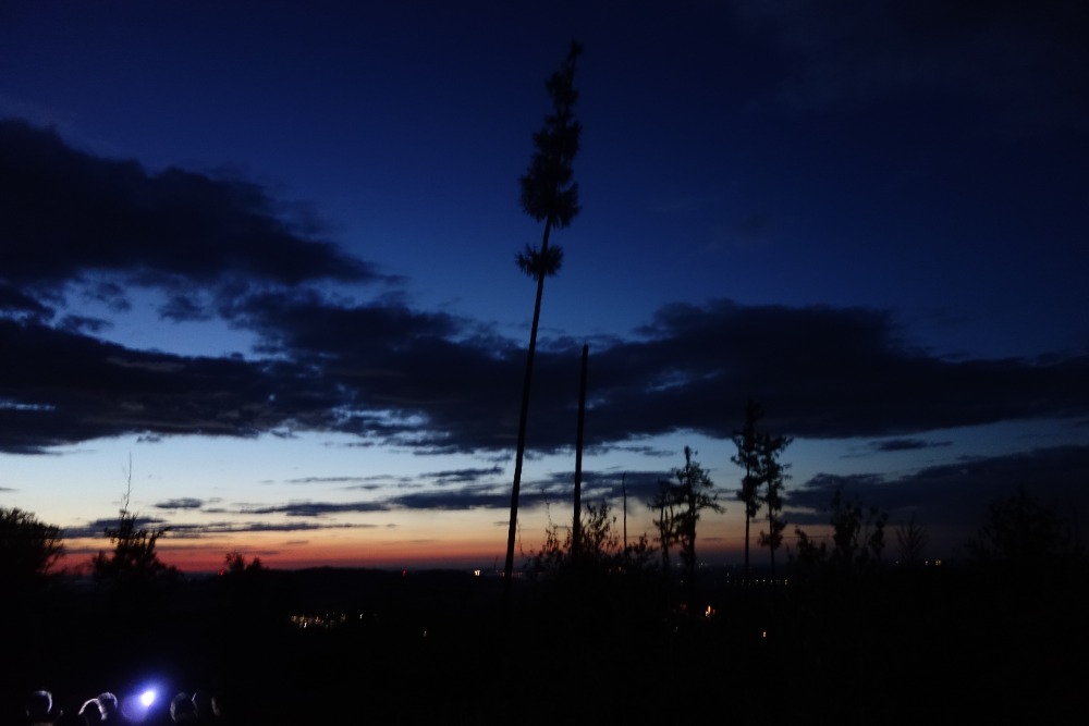 DSC05044