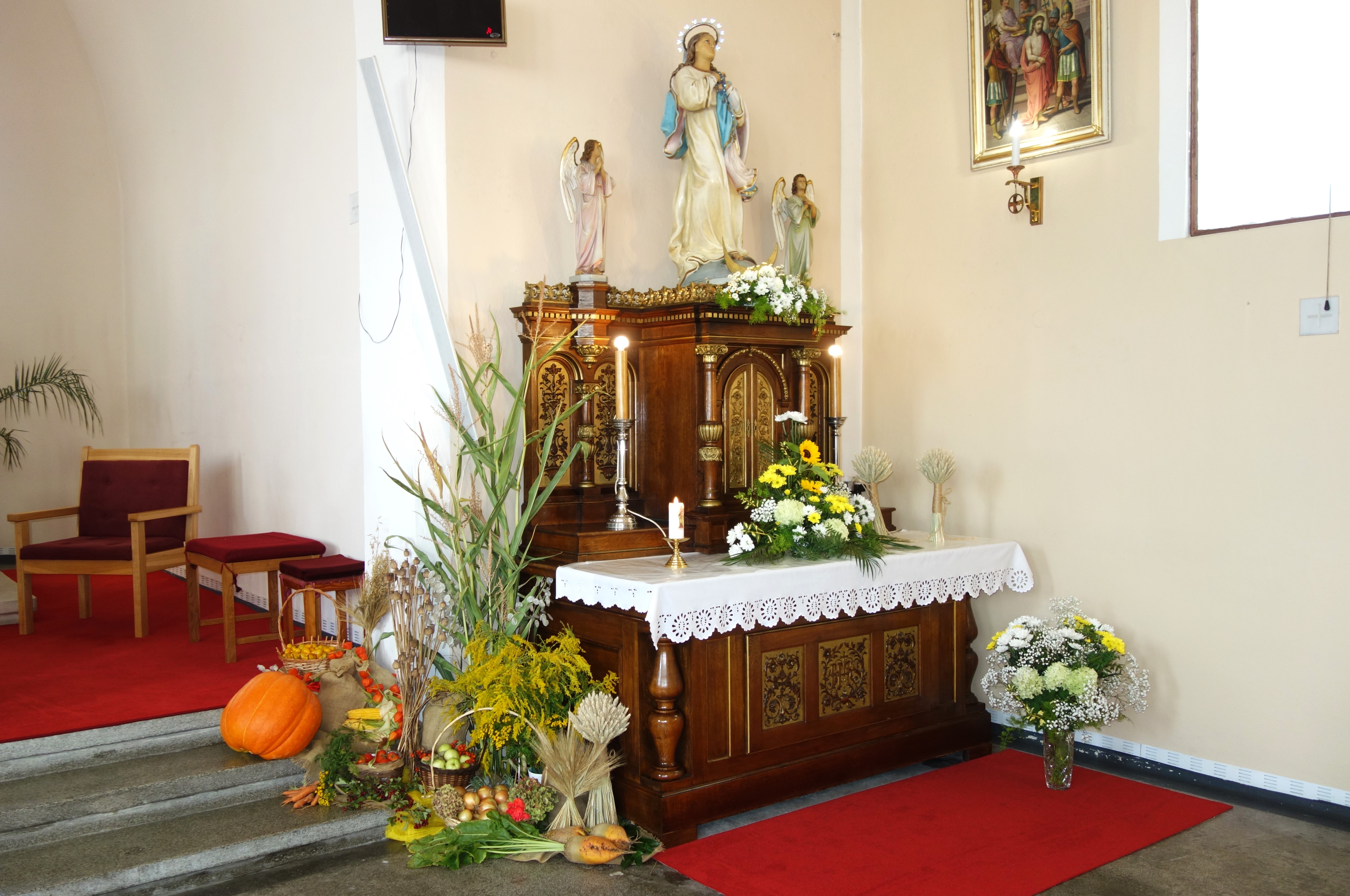 DSC05249
